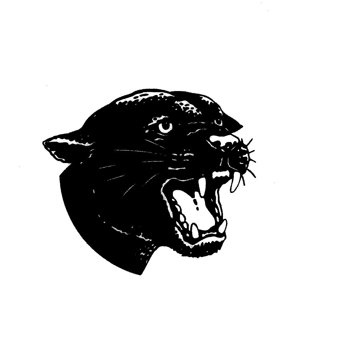 park high logo