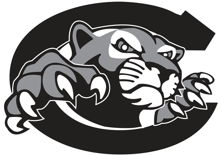 MSHSAACentralia High School School Information