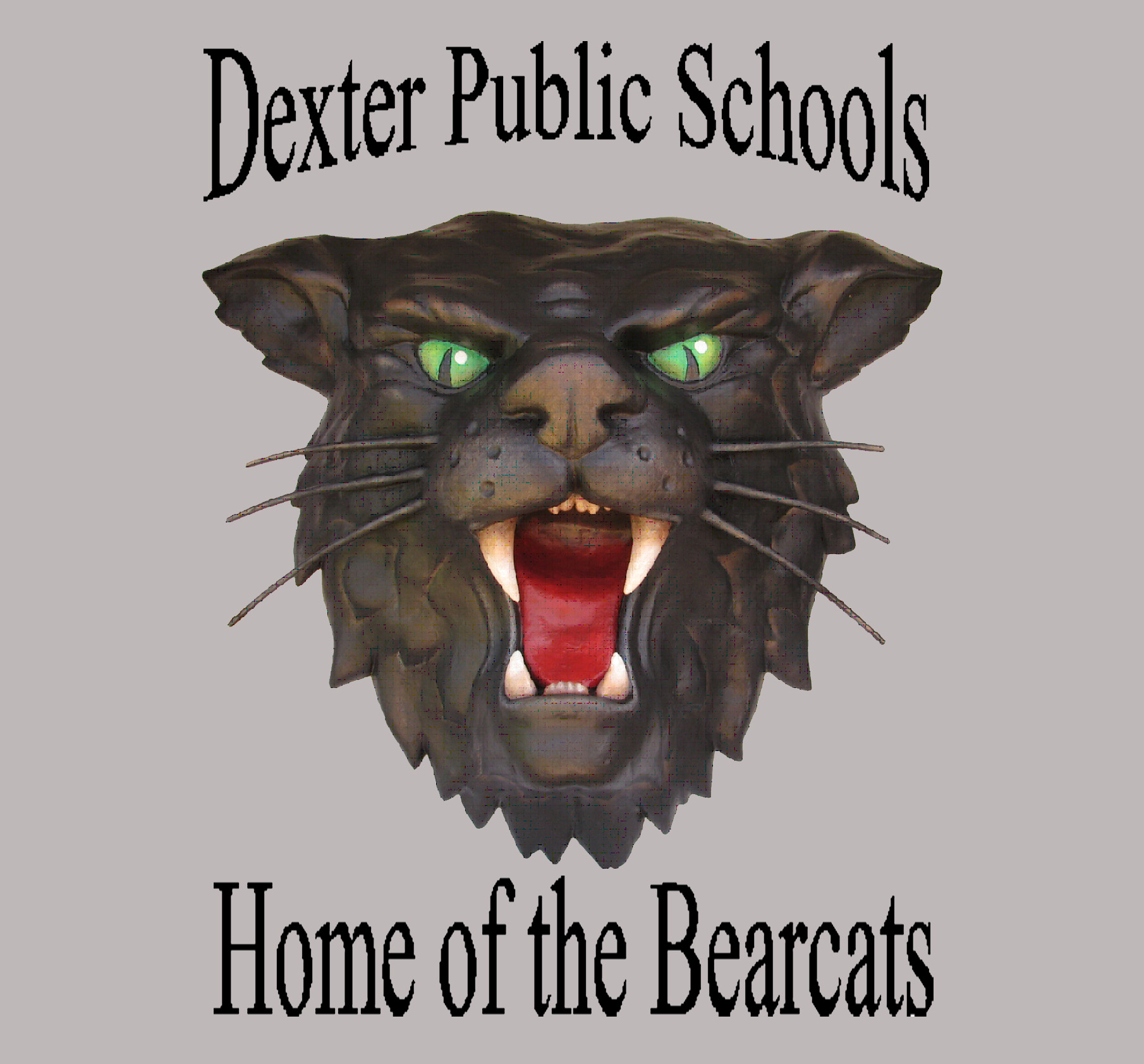 MSHSAA Dexter High School School Information