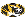 Festus Logo