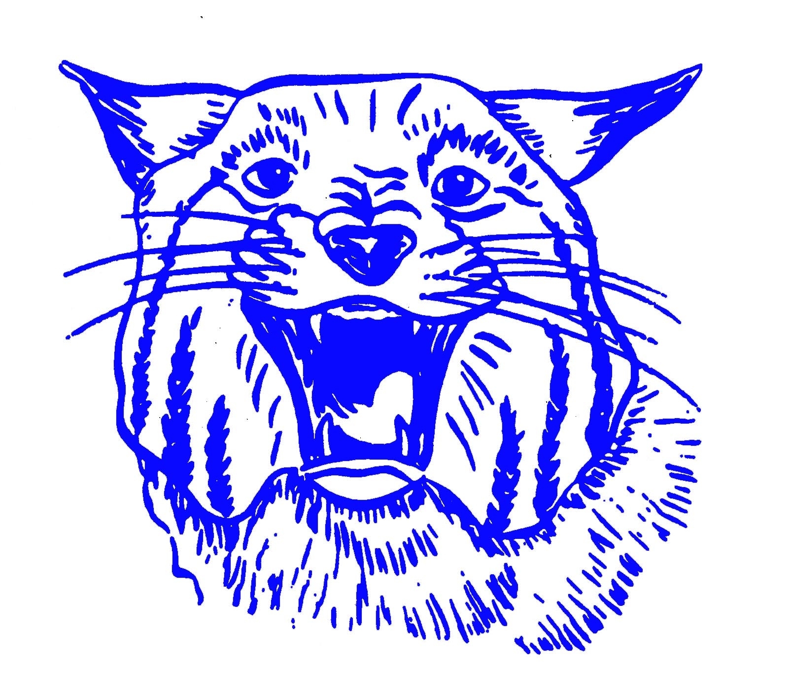 MSHSAA Hermann High School - School Information
