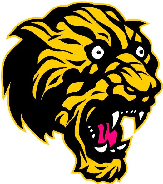 MSHSAA Verona High School School Information