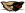 Carnahan Logo