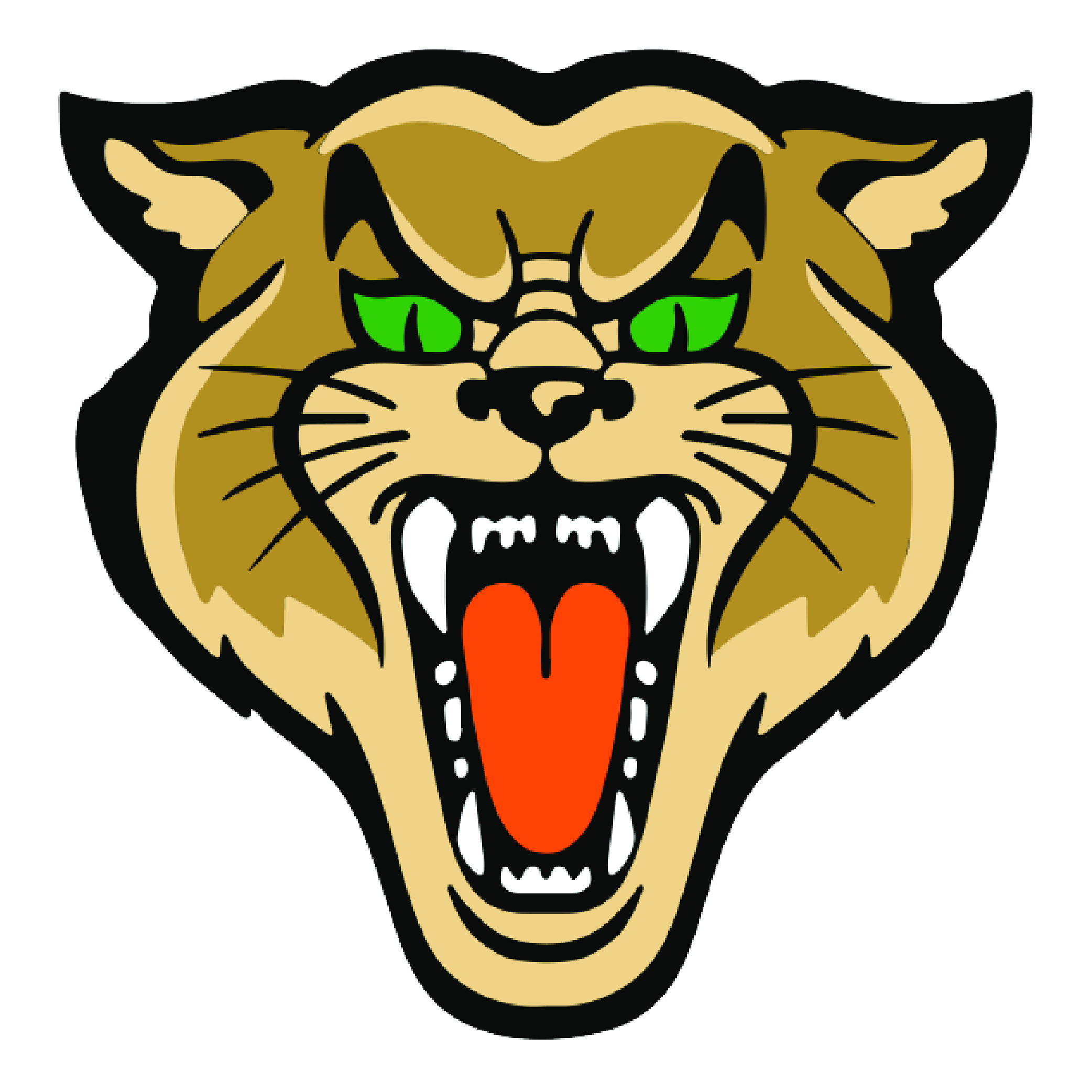 MSHSAA Osborn High School School Information