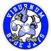 Viburnum High School